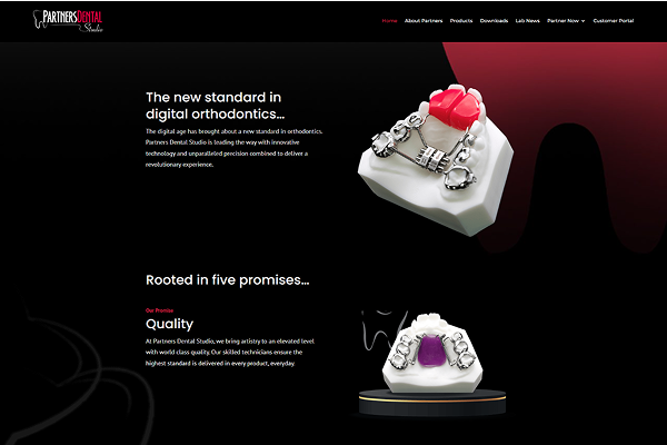 portfolio img